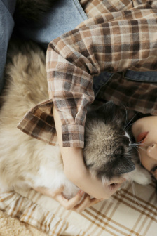 想哭的我戴上了猫的面具